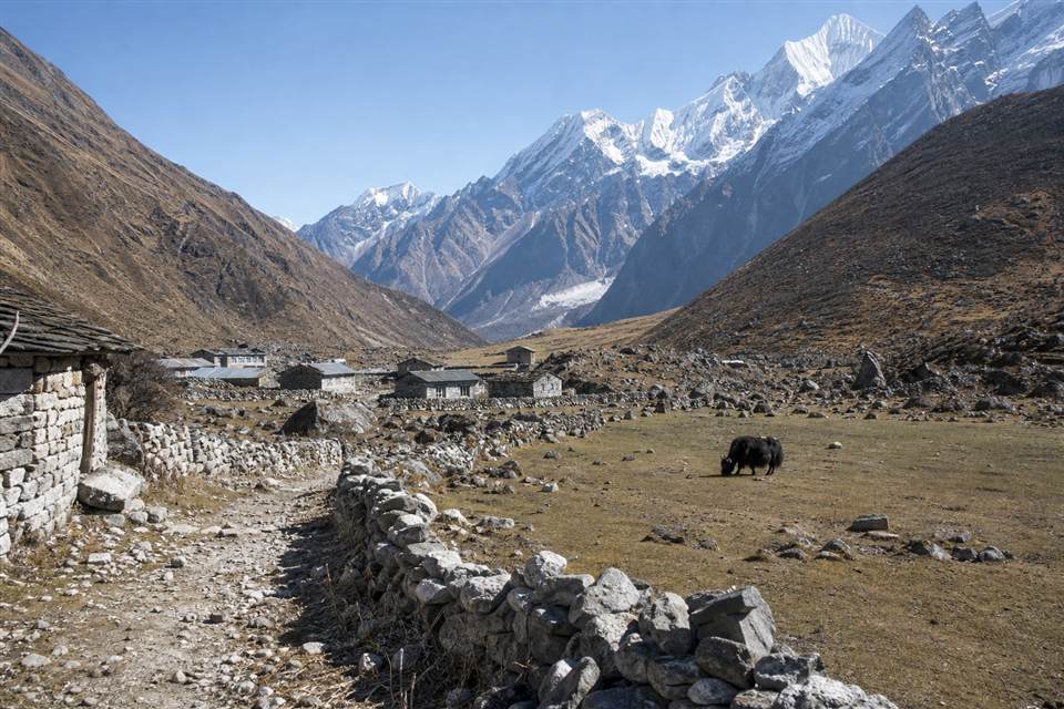 Langtang Valley trek
