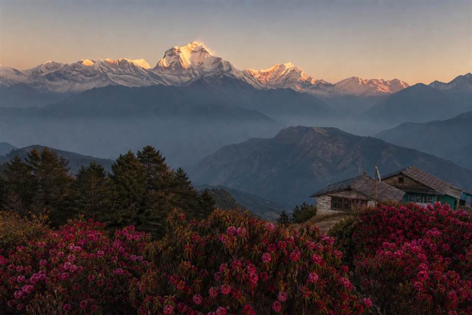 Poon Hill and Ghandruk trek